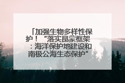 加强生物多样性保护！“落实昆蒙框架：海洋保护地建设和南极公海生态保护”主题论坛将举办