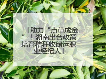 助力“点草成金”！湖南出台政策培育秸秆收储运职业经纪人
