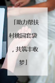 助力帮扶村桃园套袋，共筑丰收梦
