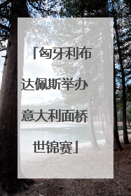 匈牙利布达佩斯举办意大利面桥世锦赛
