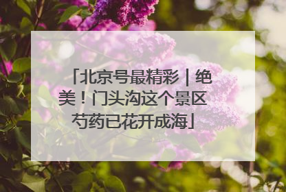 北京号最精彩｜绝美！门头沟这个景区芍药已花开成海