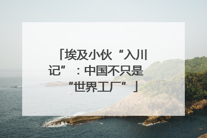 埃及小伙“入川记”：中国不只是“世界工厂”