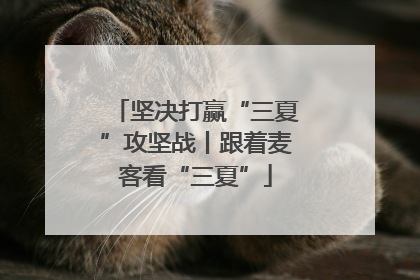 坚决打赢“三夏”攻坚战丨跟着麦客看“三夏”