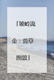 坡岭流金：萱草图景