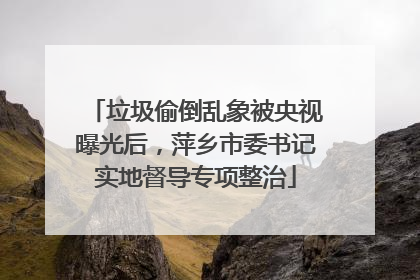 垃圾偷倒乱象被央视曝光后，萍乡市委书记实地督导专项整治