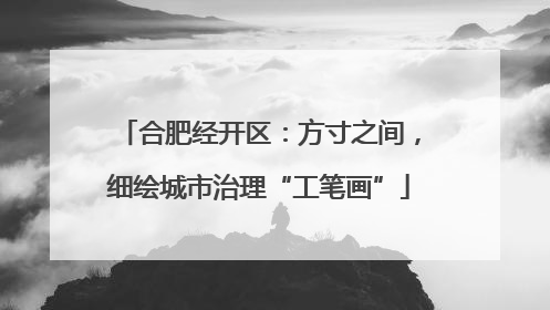 合肥经开区：方寸之间，细绘城市治理“工笔画”