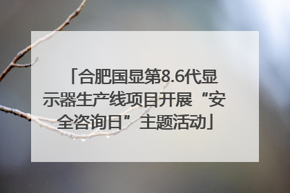 合肥国显第8.6代显示器生产线项目开展“安全咨询日”主题活动