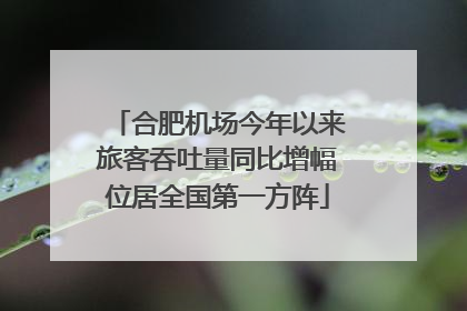 合肥机场今年以来旅客吞吐量同比增幅位居全国第一方阵
