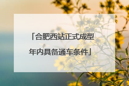 合肥西站正式成型 年内具备通车条件