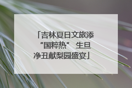 吉林夏日文旅添“国粹热” 生旦净丑献梨园盛宴