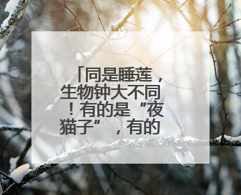同是睡莲，生物钟大不同！有的是“夜猫子”，有的“值白班”