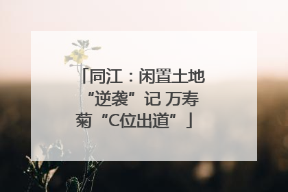 同江：闲置土地“逆袭”记 万寿菊“C位出道”