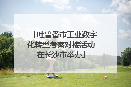 吐鲁番市工业数字化转型考察对接活动在长沙市举办