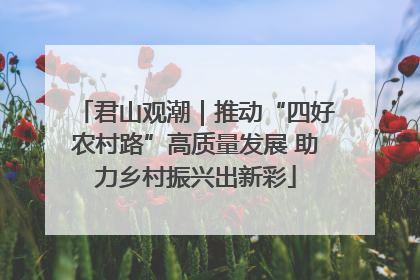 君山观潮｜推动“四好农村路”高质量发展 助力乡村振兴出新彩
