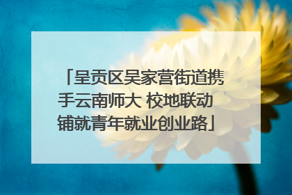 呈贡区吴家营街道携手云南师大 校地联动铺就青年就业创业路