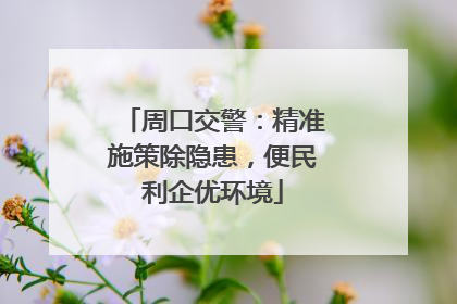周口交警：精准施策除隐患，便民利企优环境