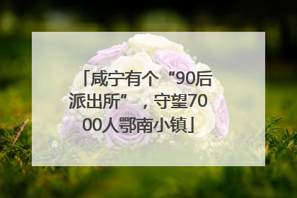 咸宁有个“90后派出所”，守望7000人鄂南小镇