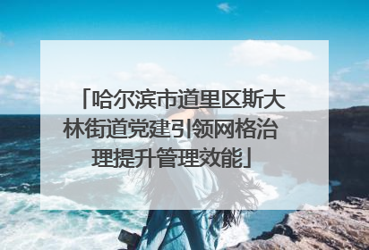 哈尔滨市道里区斯大林街道党建引领网格治理提升管理效能