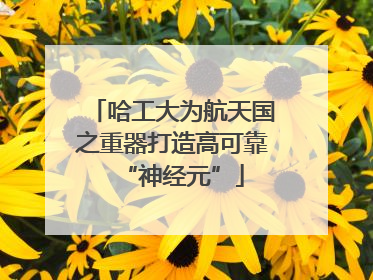 哈工大为航天国之重器打造高可靠“神经元”
