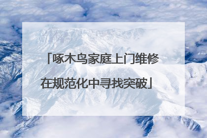 啄木鸟家庭上门维修在规范化中寻找突破