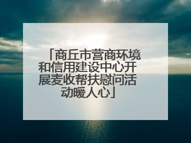 商丘市营商环境和信用建设中心开展麦收帮扶慰问活动暖人心