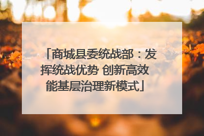商城县委统战部：发挥统战优势 创新高效能基层治理新模式