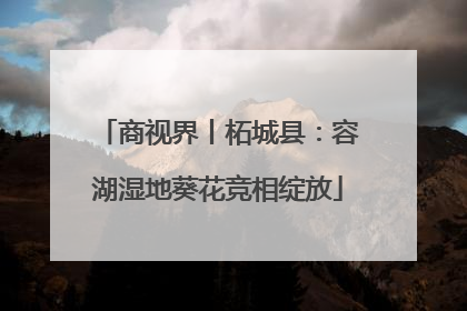 商视界丨柘城县：容湖湿地葵花竞相绽放
