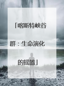 喀斯特峡谷群：生命演化的摇篮