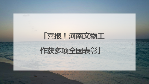 喜报！河南文物工作获多项全国表彰