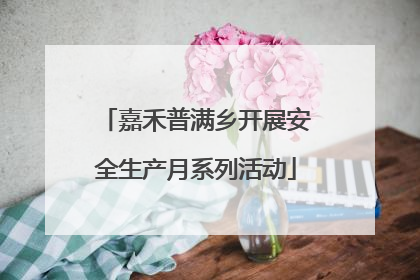 嘉禾普满乡开展安全生产月系列活动