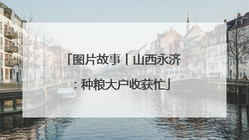 图片故事丨山西永济：种粮大户收获忙