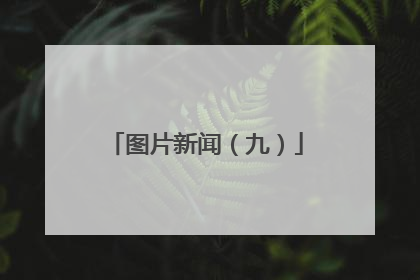 图片新闻（九）
