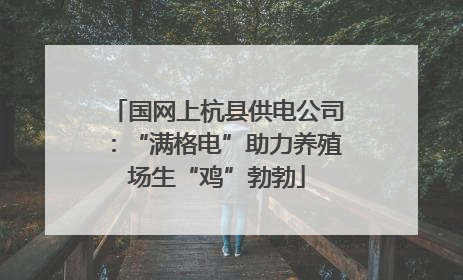 国网上杭县供电公司：“满格电”助力养殖场生“鸡”勃勃