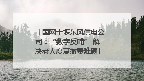 国网十堰东风供电公司：“数字反哺” 解决老人度夏缴费难题