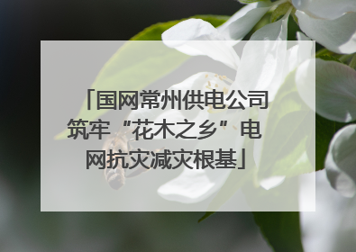 国网常州供电公司筑牢“花木之乡”电网抗灾减灾根基