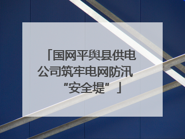国网平舆县供电公司筑牢电网防汛“安全堤”