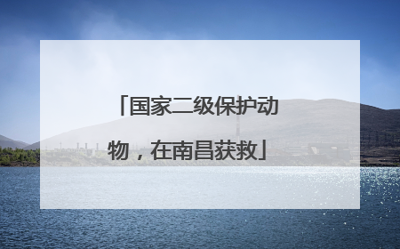国家二级保护动物，在南昌获救