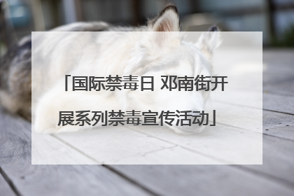 国际禁毒日 邓南街开展系列禁毒宣传活动