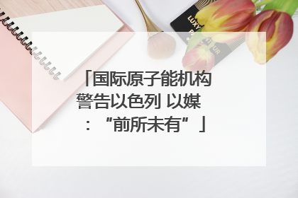 国际原子能机构警告以色列 以媒：“前所未有”