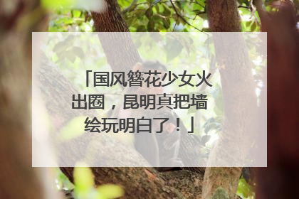 国风簪花少女火出圈，昆明真把墙绘玩明白了！