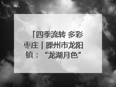 四季流转 多彩枣庄｜滕州市龙阳镇：“龙湖月色”向日葵花海 绘就乡村振兴新画卷