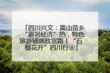 四川兴文：高山苗乡“避暑经济”热，特色旅游铺就致富路丨“石榴花开”四川行⑧