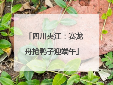 四川夹江：赛龙舟抢鸭子迎端午