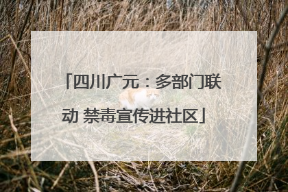 四川广元：多部门联动 禁毒宣传进社区