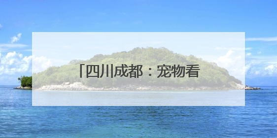 四川成都：宠物看中医体验针灸治疗