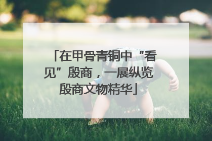 在甲骨青铜中“看见”殷商，一展纵览殷商文物精华