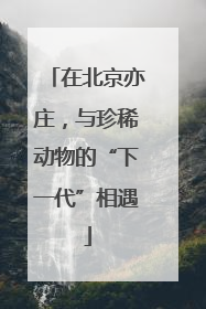 在北京亦庄，与珍稀动物的“下一代”相遇