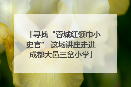 寻找“蓉城红领巾小史官” 这场讲座走进成都大邑三岔小学