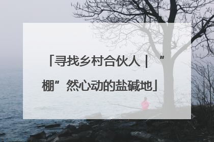 寻找乡村合伙人｜“棚”然心动的盐碱地
