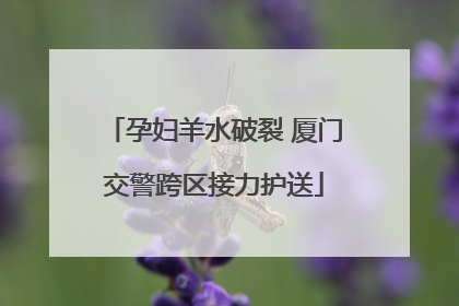 孕妇羊水破裂 厦门交警跨区接力护送